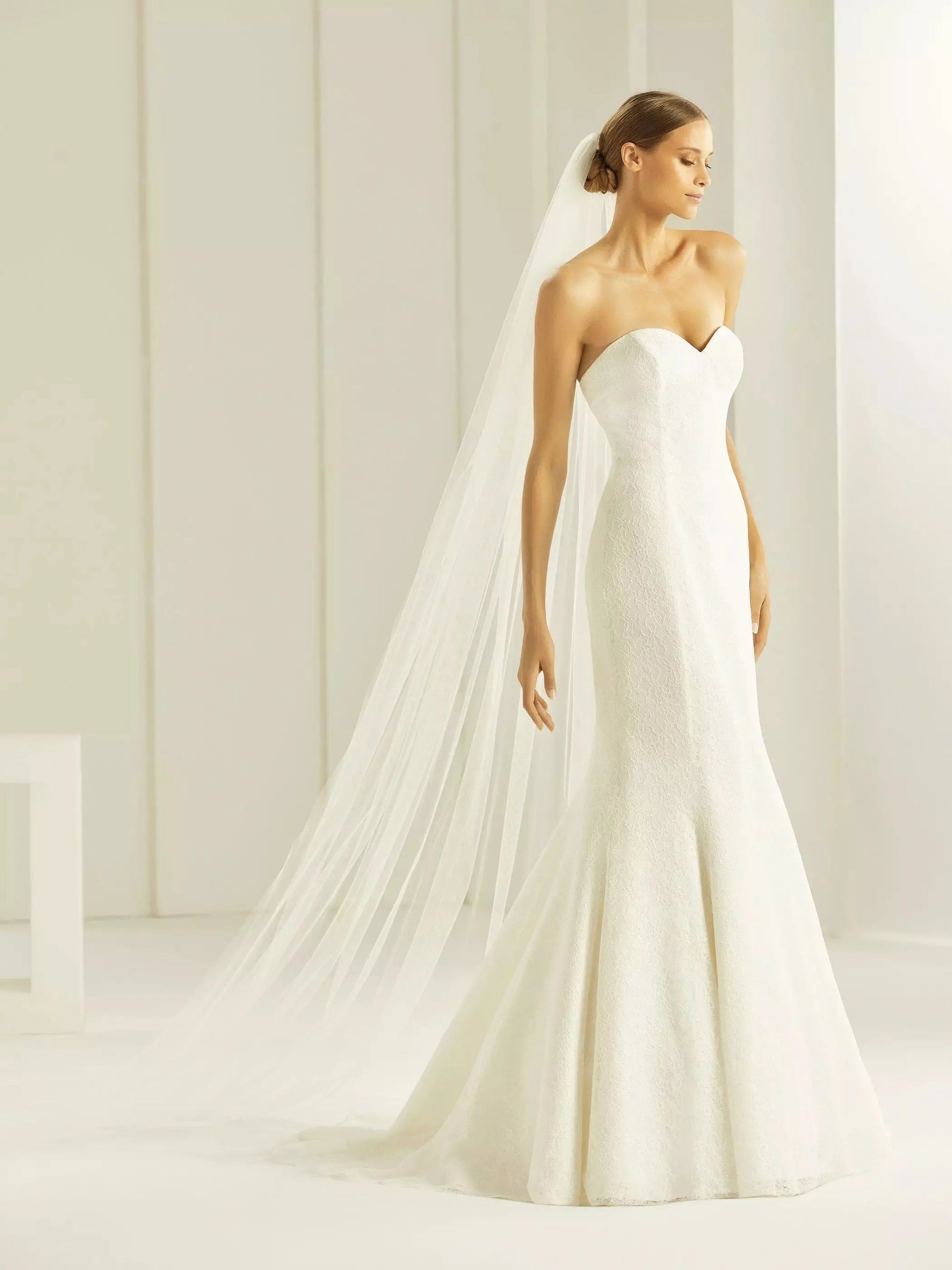 VOILE DE MARIÉE LONG SIMPLE EN TULLE S261 Bianco Evento