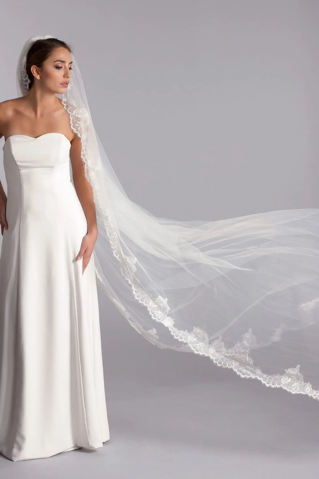 VOILE MARIÉE CATHÉDRALE DENTELLE FRANÇAISE 270 CM – DASANTA WD36 Novias