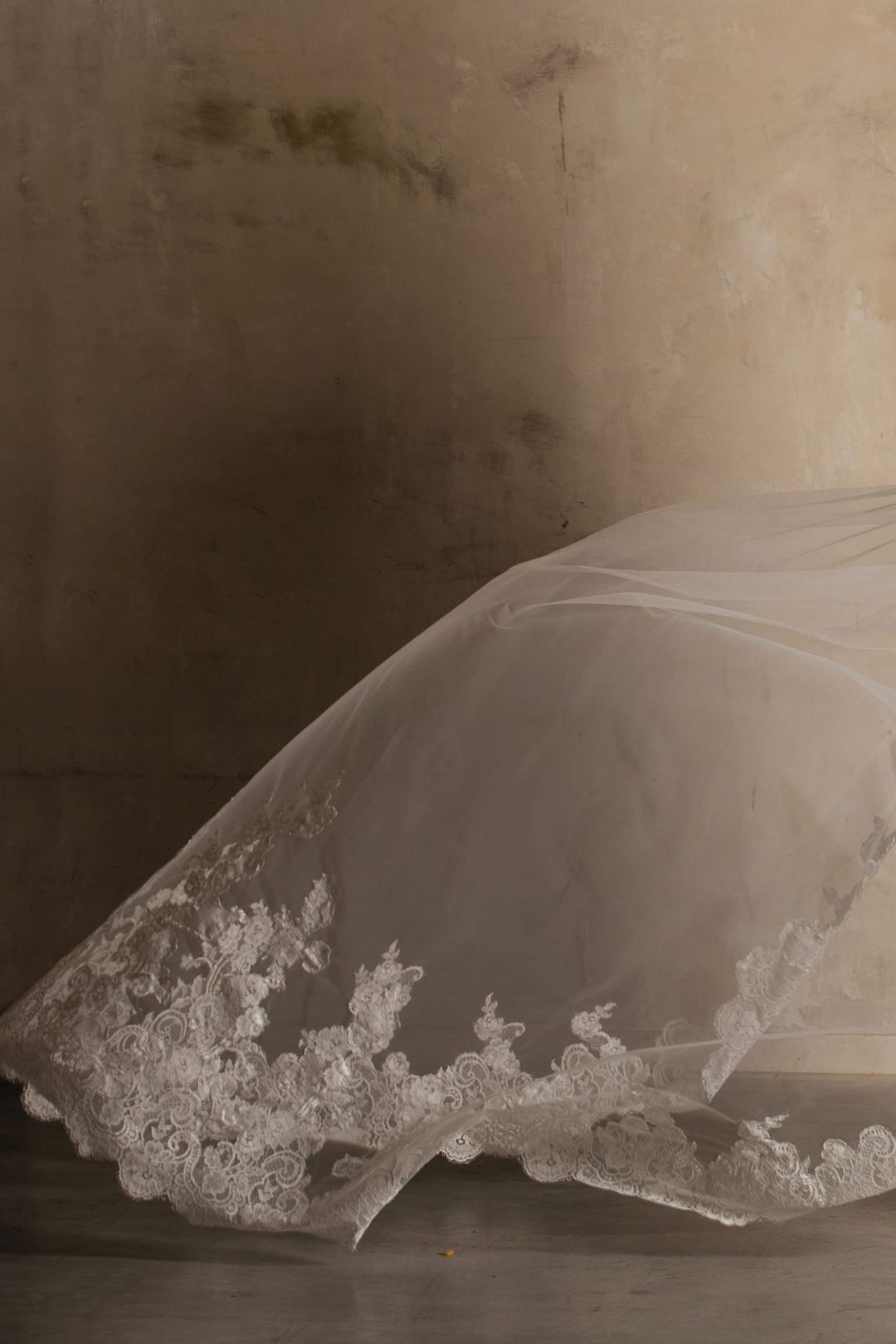 Voile de mariée Dacota WD55 porté, dentelle française
