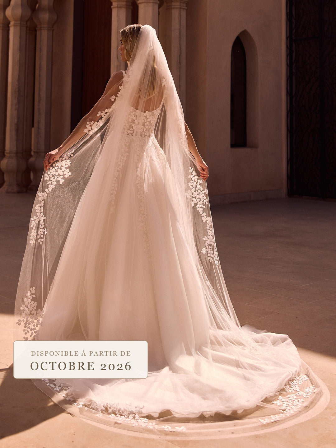 Voile de mariée cathédrale 300 cm en tulle doux ivoire à fleurs de dentelle en relief S575 Bianco Evento